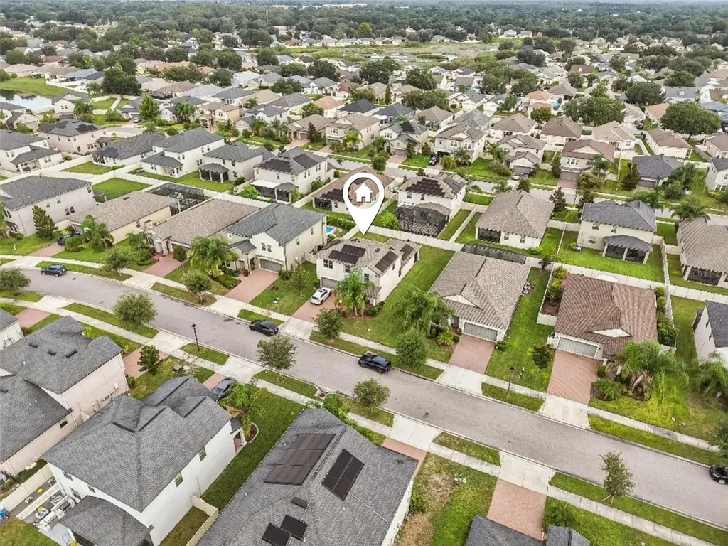 24928 Lambrusco Loop Lutz FL 33559