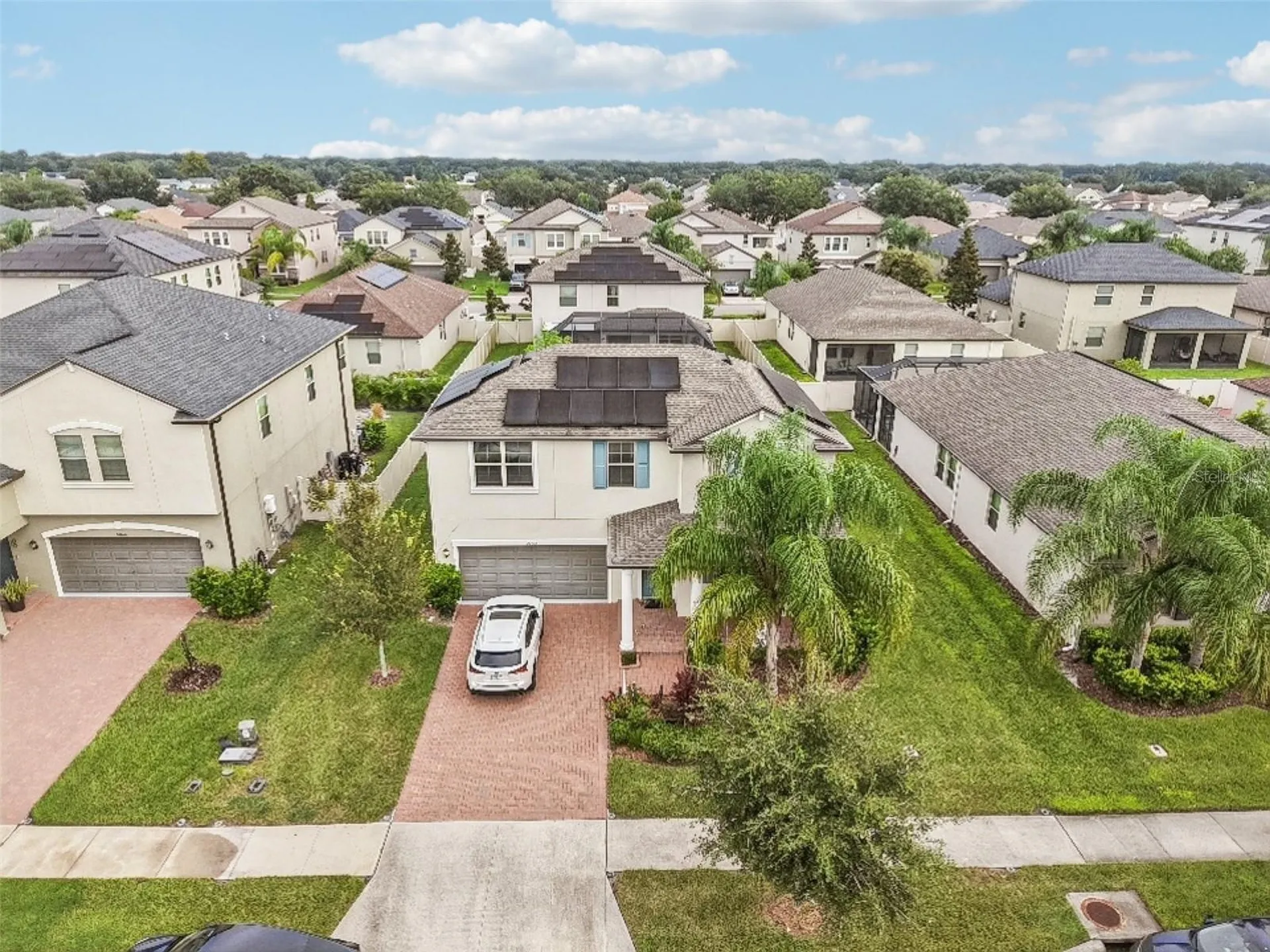 24928 Lambrusco Loop Lutz FL 33559