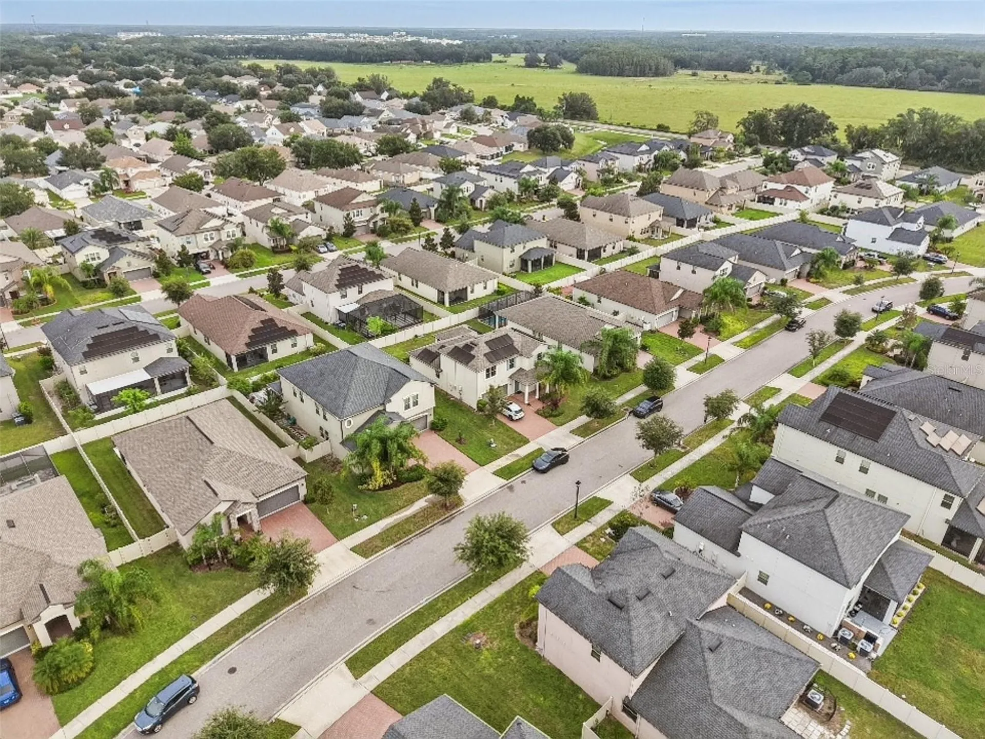 24928 Lambrusco Loop Lutz FL 33559