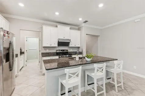 24928 Lambrusco Loop Lutz FL 33559
