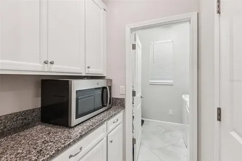 24928 Lambrusco Loop Lutz FL 33559
