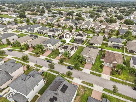 24928 Lambrusco Loop Lutz FL 33559