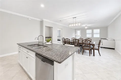 24928 Lambrusco Loop Lutz FL 33559