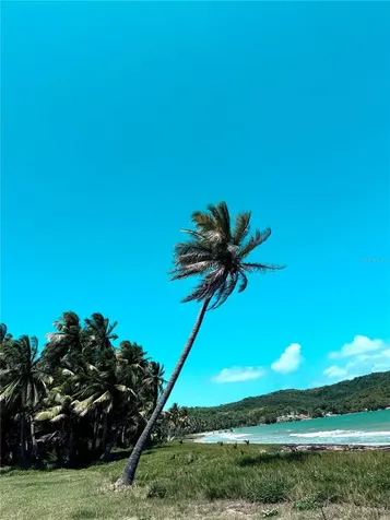 Km 5.0 906 Yabucoa PR 00767