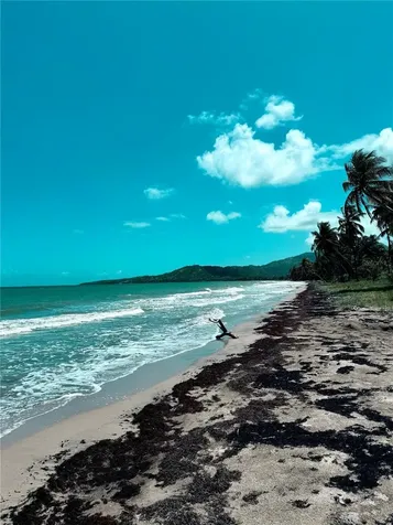 Km 5.0 906 Yabucoa PR 00767
