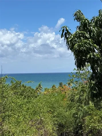 Km 5.0 906 Yabucoa PR 00767