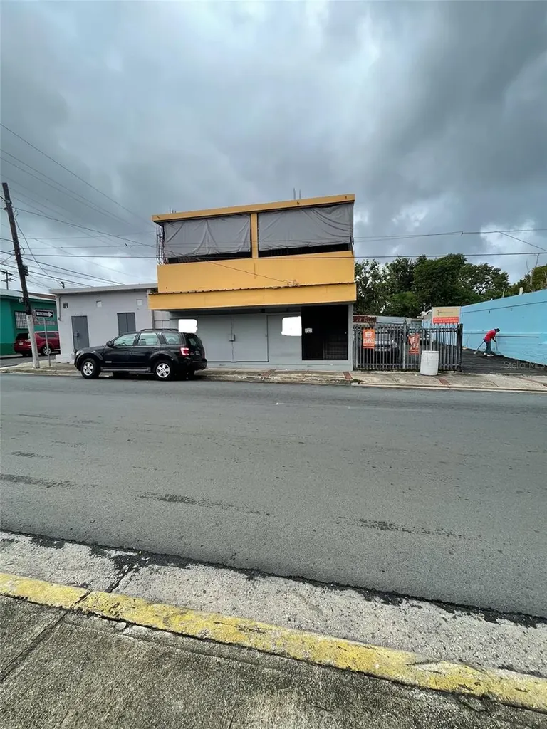 203 Calle Comerio Bayamon PR 00959