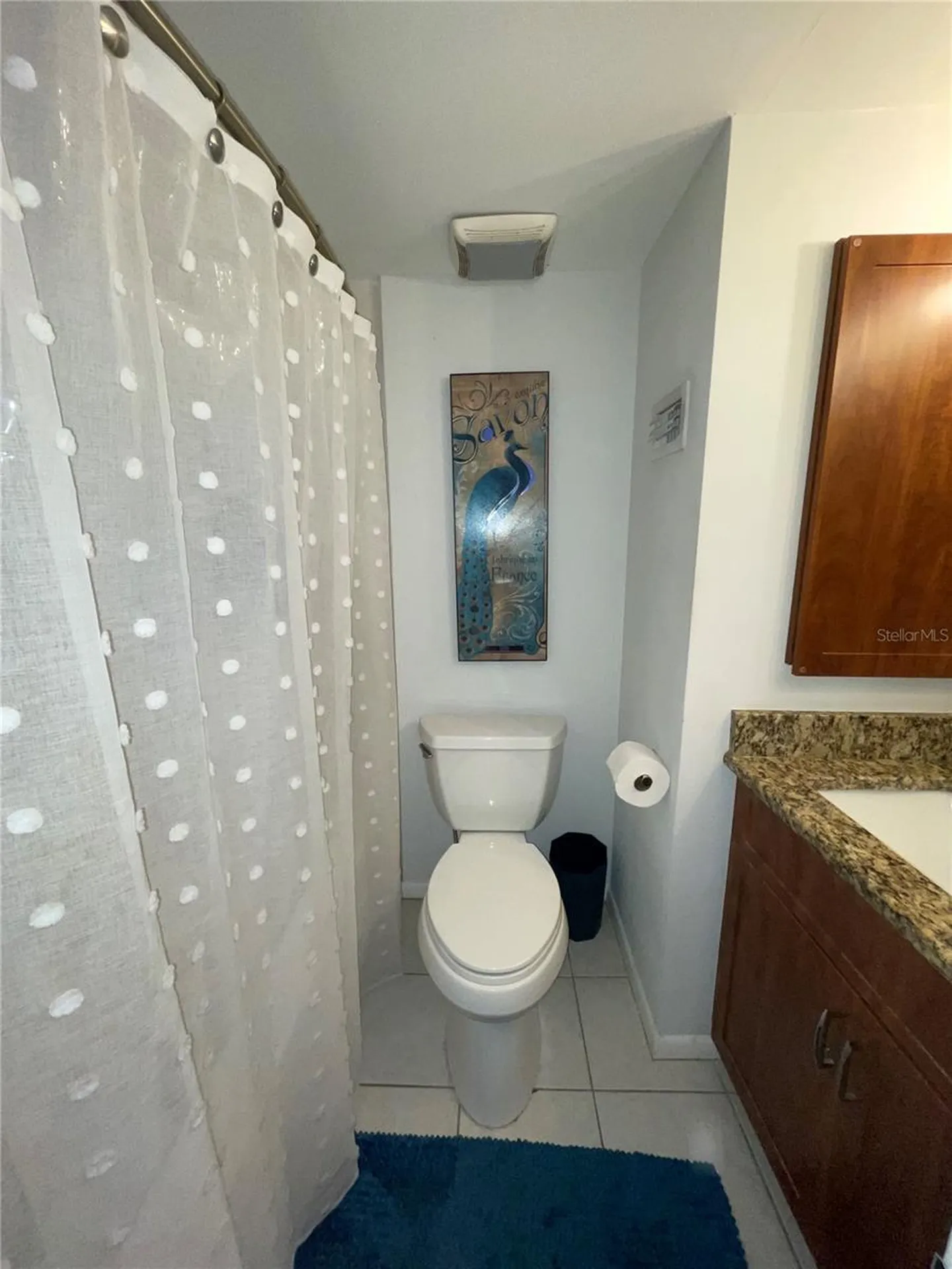 4304 La Riviera Court Tampa FL 33611