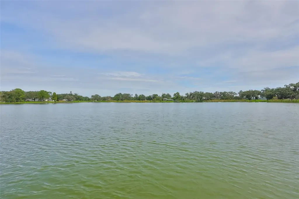 14028 Blackjack Road Dover FL 33527