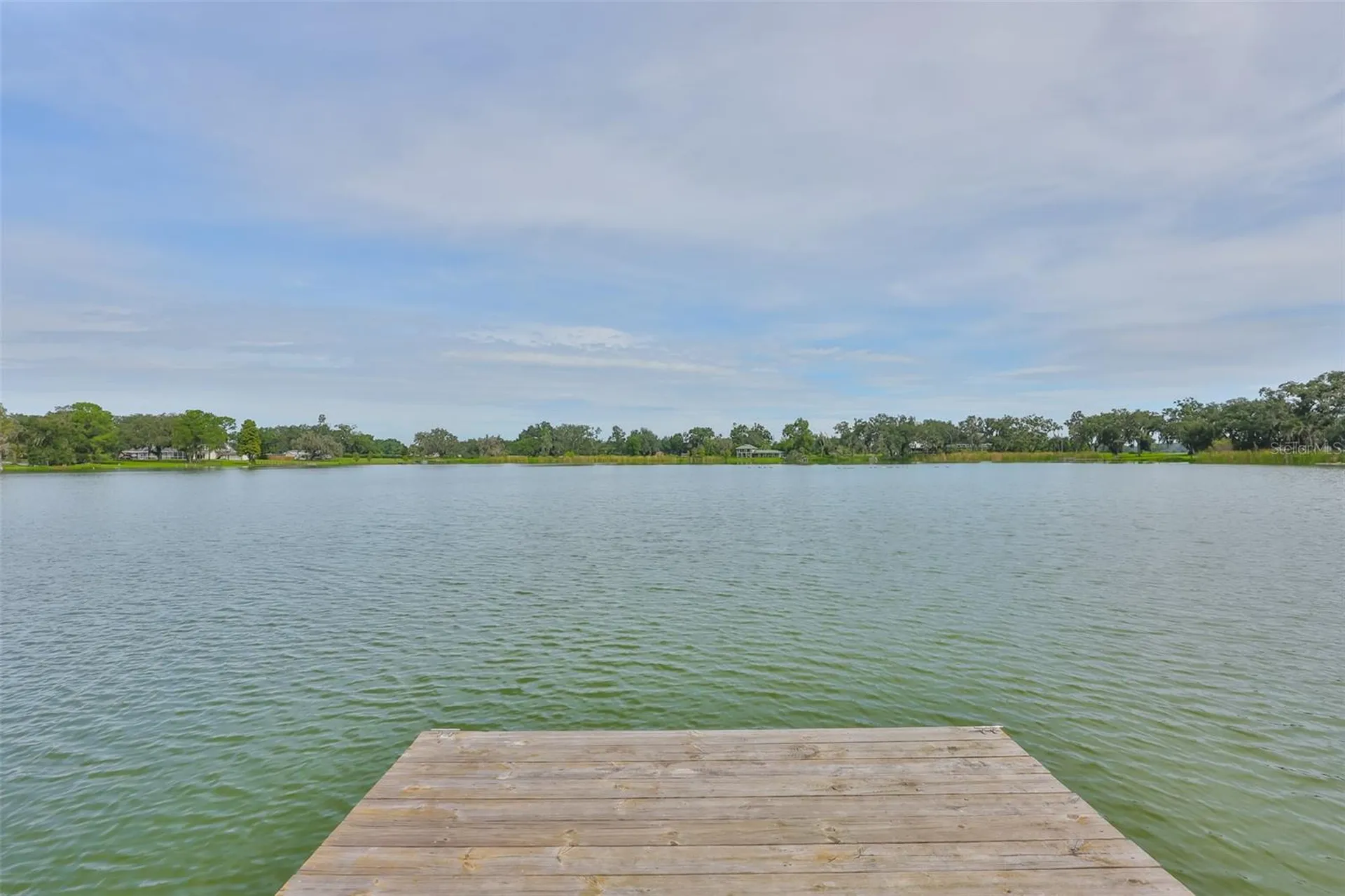 14028 Blackjack Road Dover FL 33527