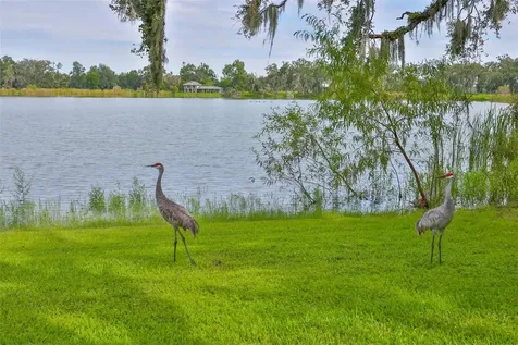 14028 Blackjack Road Dover FL 33527