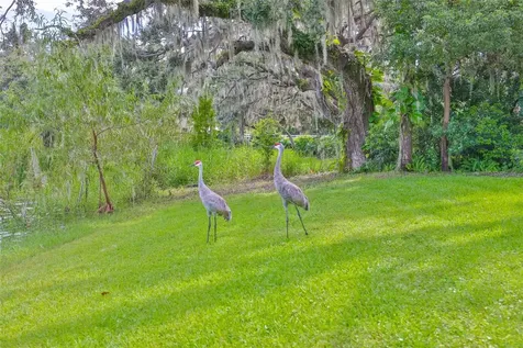 14028 Blackjack Road Dover FL 33527