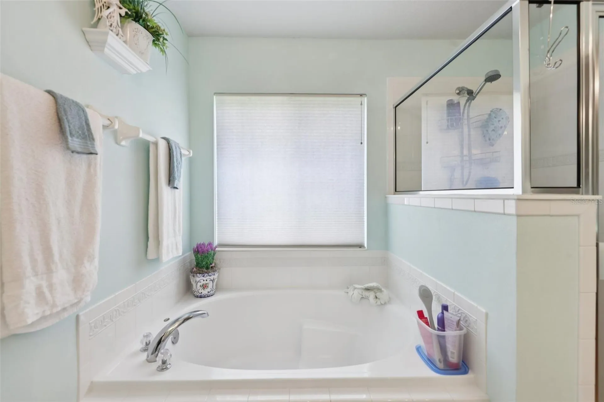 4954 Rainbow Trout Road Tavares FL 32778