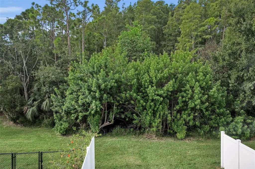271 Hemingway Drive Oldsmar FL 34677