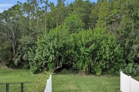 271 Hemingway Drive Oldsmar FL 34677