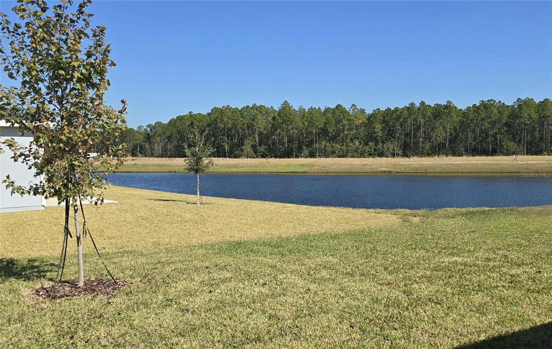 16 Dilly Court Palm Coast FL 32164
