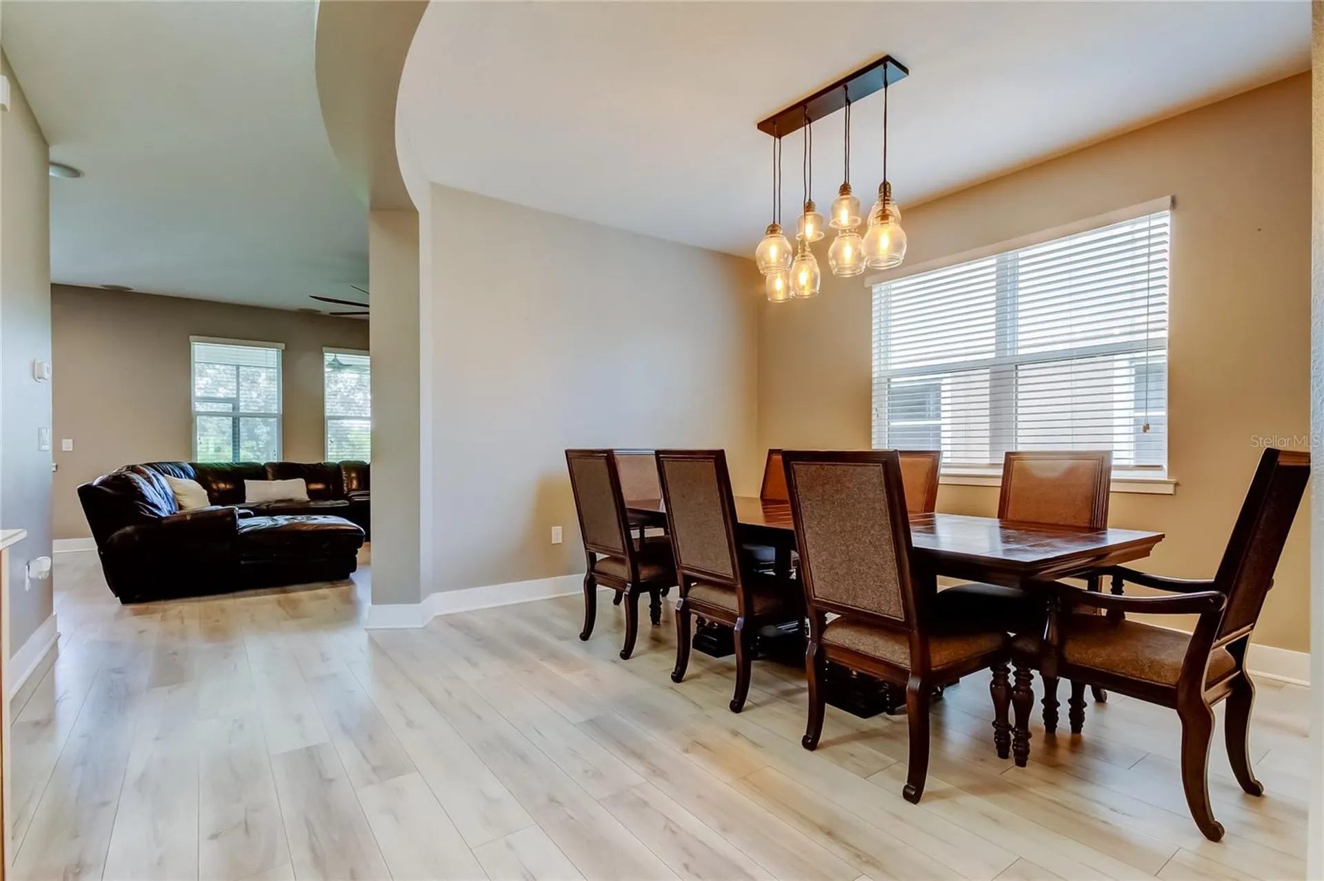 12307 Juniper Field Court Riverview FL 33579