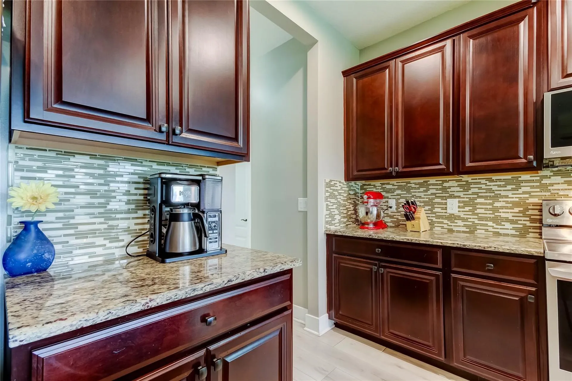 12307 Juniper Field Court Riverview FL 33579