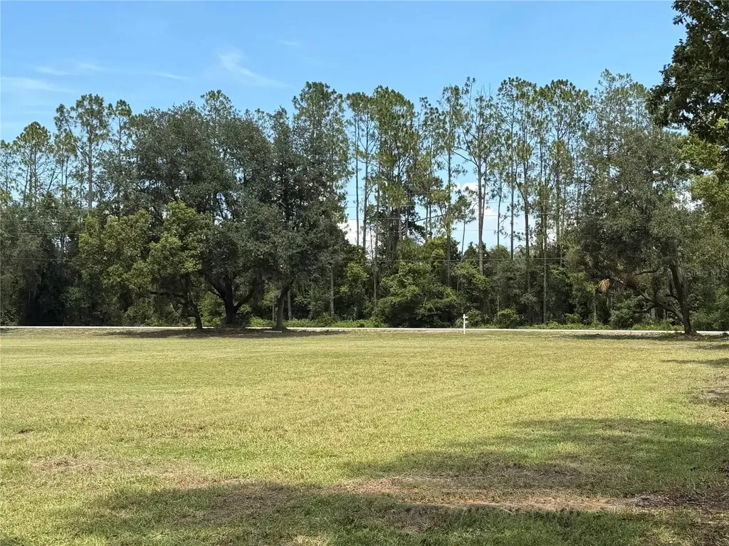Bellamy Brothers Boulevard Dade City FL 33525