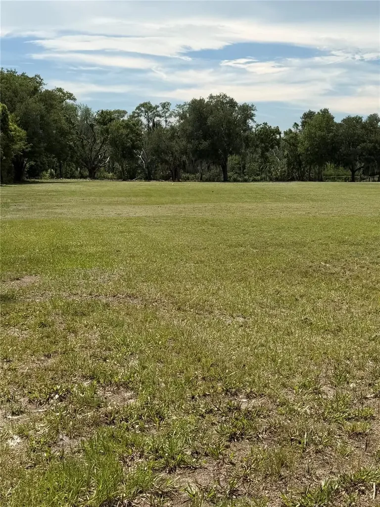 Bellamy Brothers Boulevard Dade City FL 33525