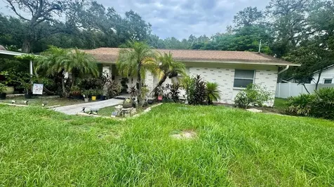 11507 N Grady Avenue Tampa FL 33618