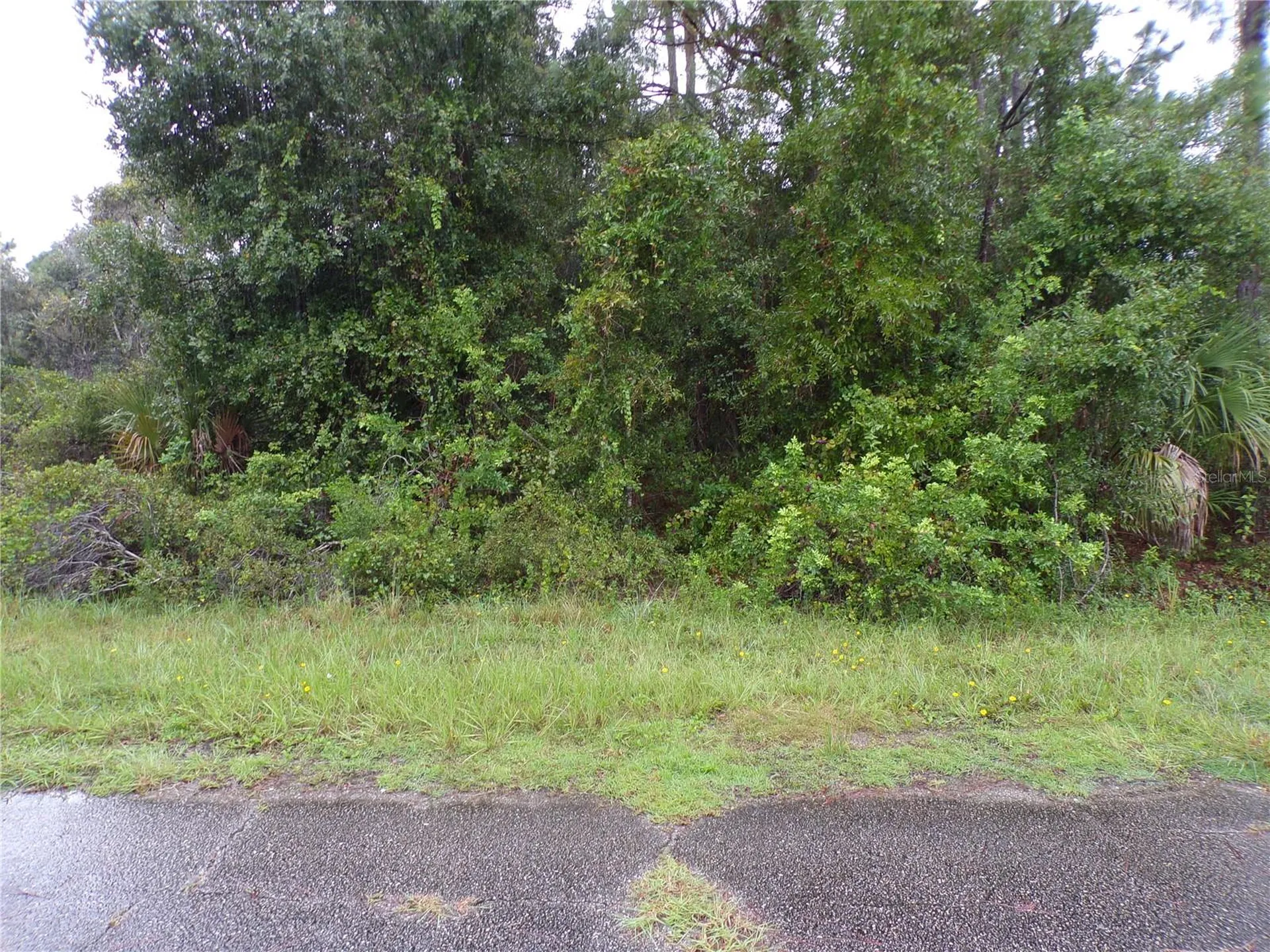 Nocturn Street North Port FL 34288