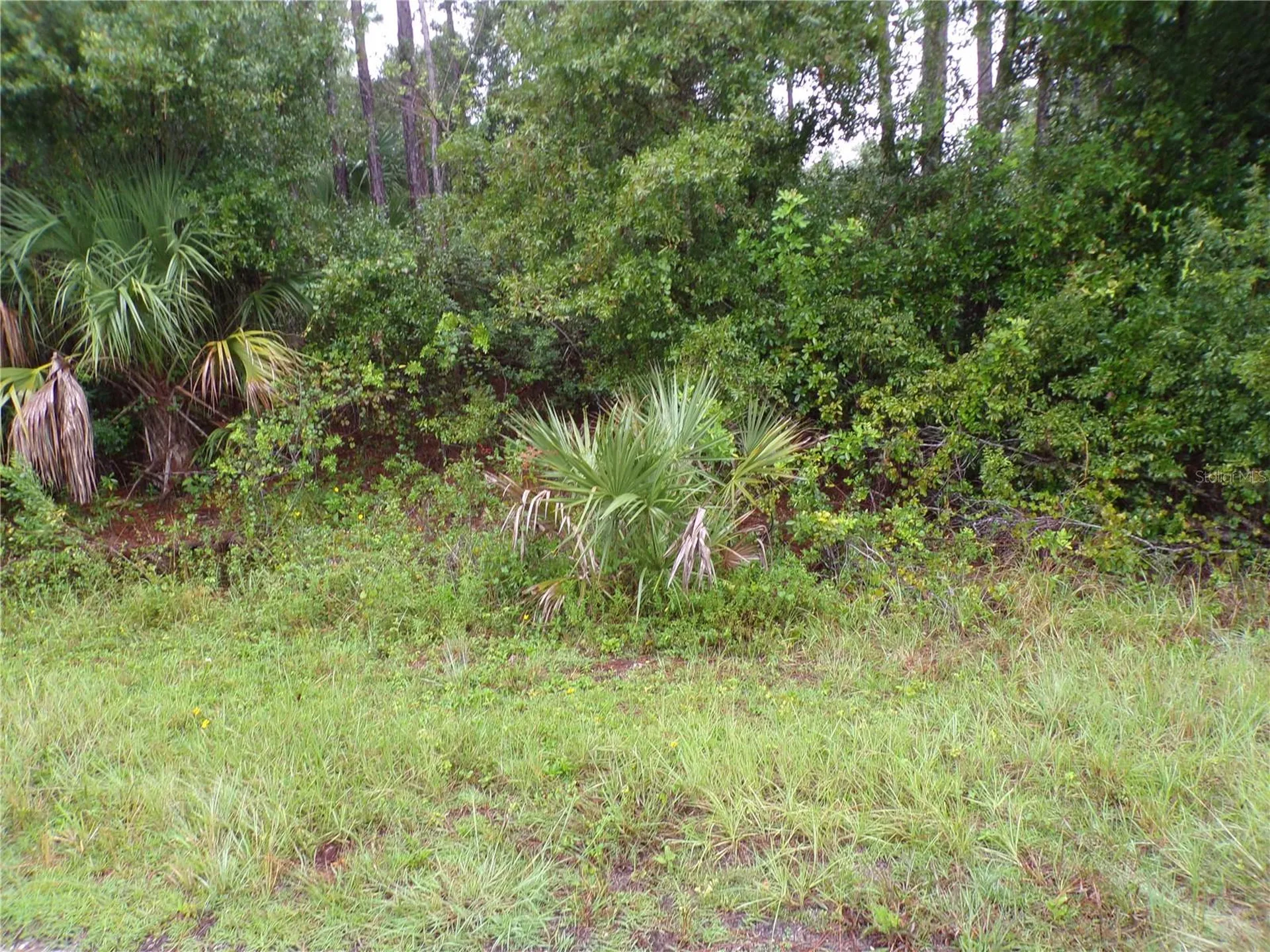 Nocturn Street North Port FL 34288