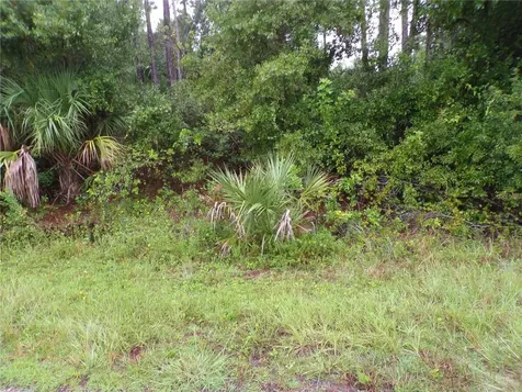 Nocturn Street North Port FL 34288