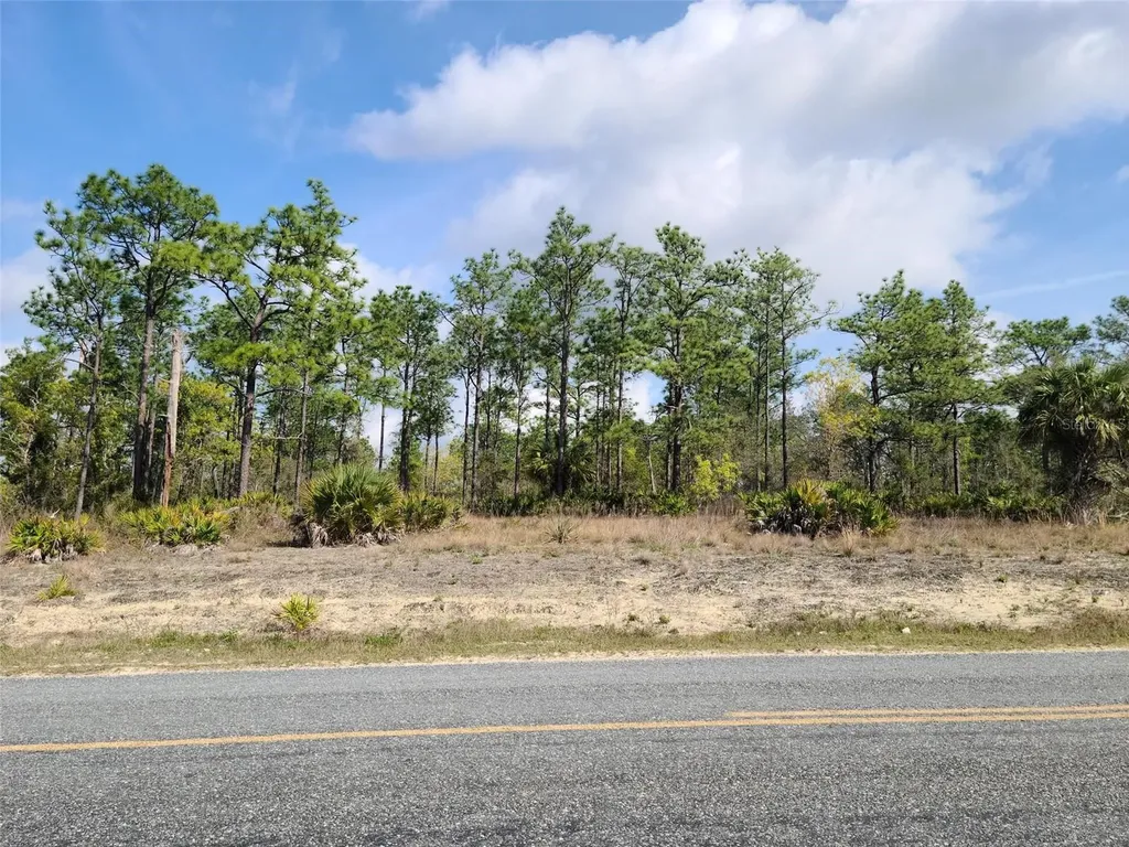 12121 Thrasher Avenue Weeki Wachee FL 34614