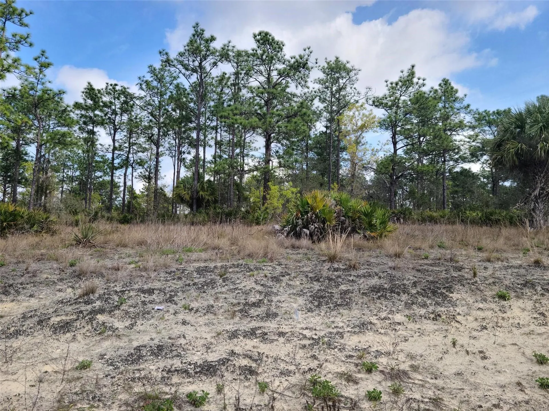 12121 Thrasher Avenue Weeki Wachee FL 34614