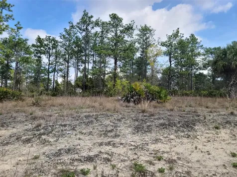12121 Thrasher Avenue Weeki Wachee FL 34614