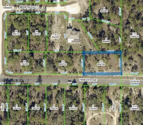 12121 Thrasher Avenue Weeki Wachee FL 34614