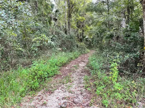 10264 NE 28th Loop Silver Springs FL 34488
