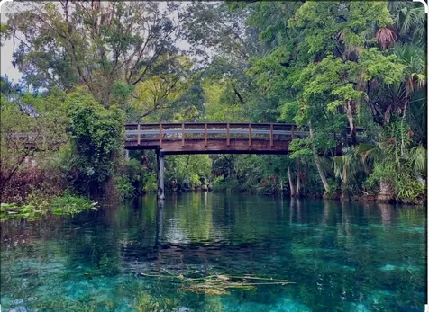 10264 NE 28th Loop Silver Springs FL 34488