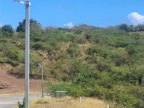 6 Posada Del Coronel Culebra PR 00775
