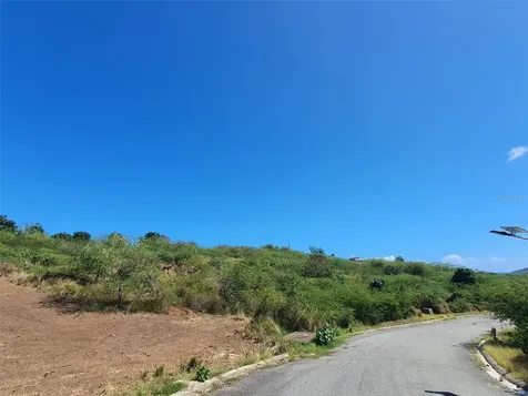 6 Posada Del Coronel Culebra PR 00775