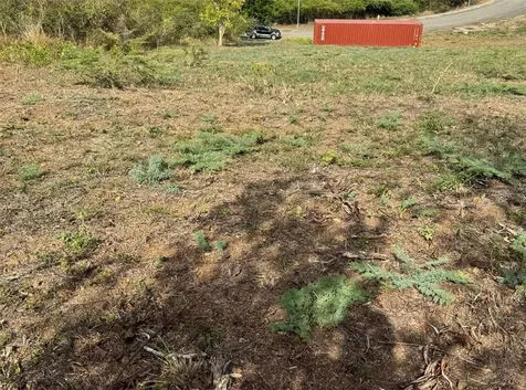 6 Posada Del Coronel Culebra PR 00775