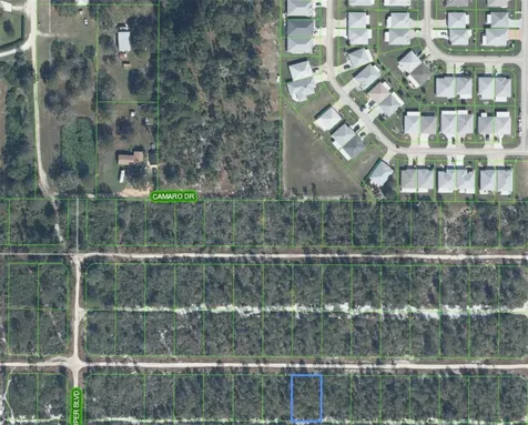 629 Parakeet Avenue Sebring FL 33872