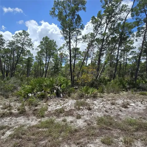 629 Parakeet Avenue Sebring FL 33872