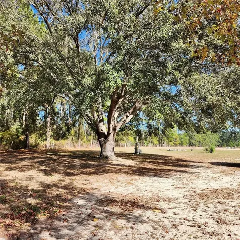 16021 SE 170th Avenue Weirsdale FL 32195