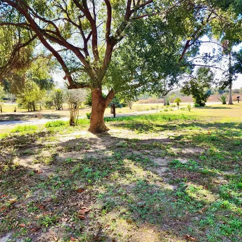 16021 SE 170th Avenue Weirsdale FL 32195