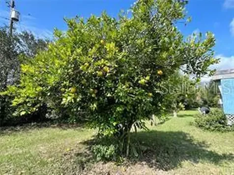 16021 SE 170th Avenue Weirsdale FL 32195