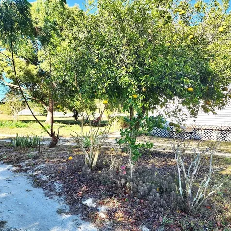 16021 SE 170th Avenue Weirsdale FL 32195