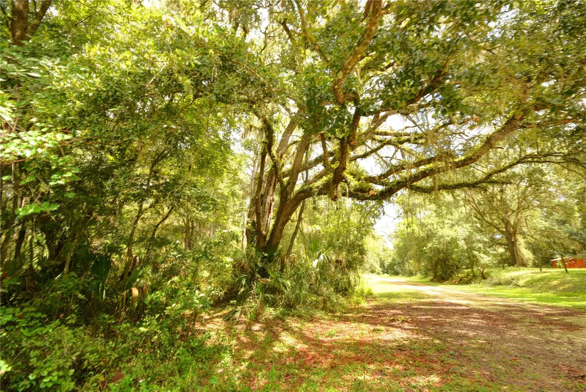 2259 W Wildflower Court Dunnellon FL 34434
