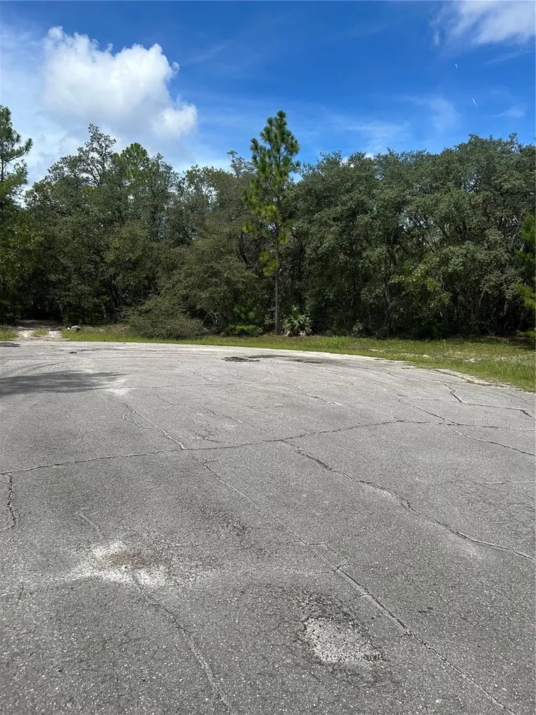 SW 179th Place Ocala FL 34473