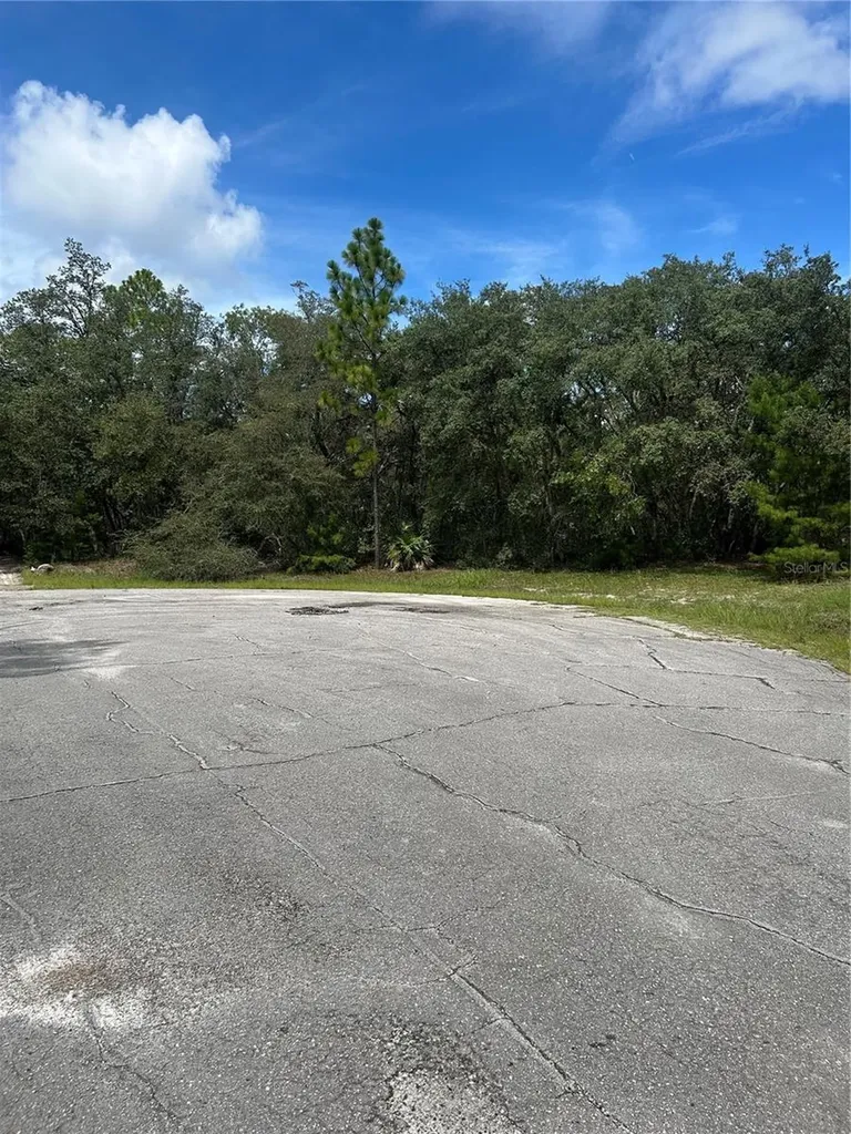 SW 179th Place Ocala FL 34473