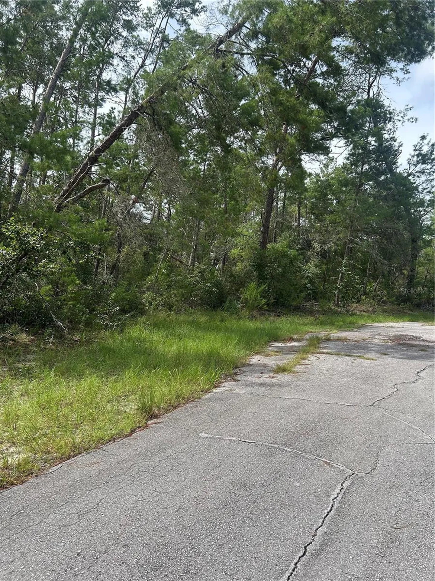 SW 179th Place Ocala FL 34473
