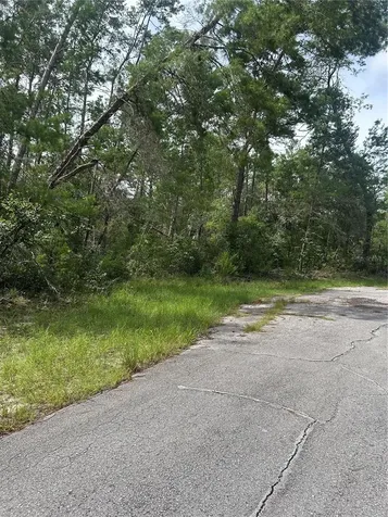 SW 179th Place Ocala FL 34473