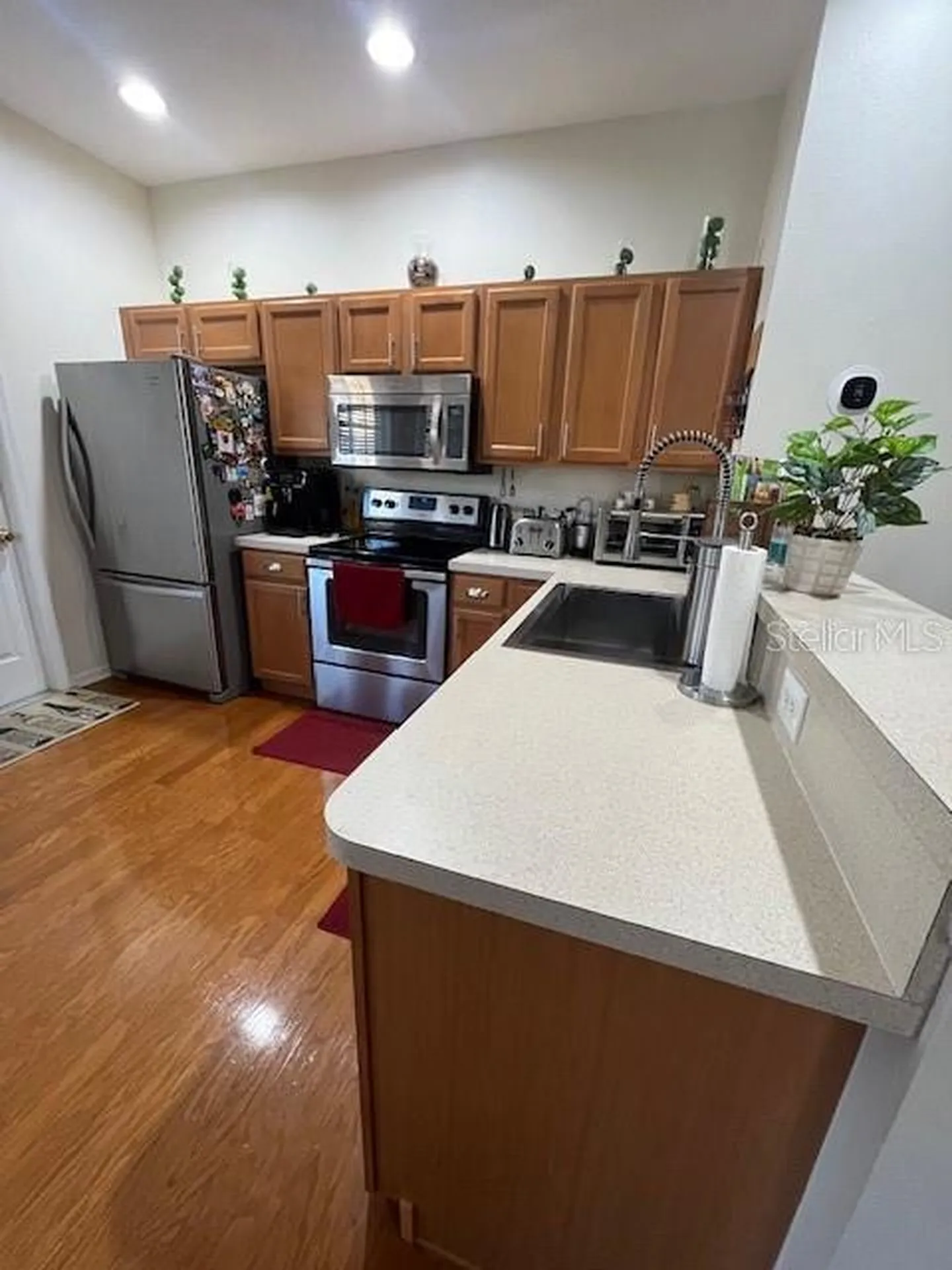2900 Banyan Hill Lane Land O Lakes FL 34639