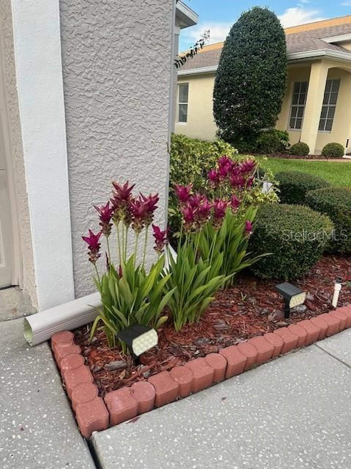 2900 Banyan Hill Lane Land O Lakes FL 34639